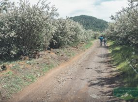 поход по тенерифе весной