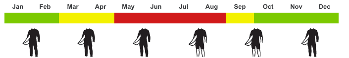 Water Temperature in Tenerife for Surfing and Kitesurfing