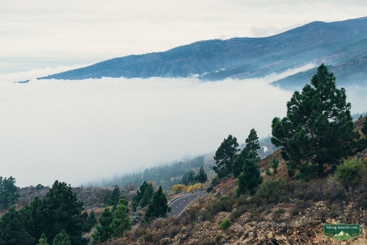 Teide National Park and Esperanza forest near Tenerife camping areas