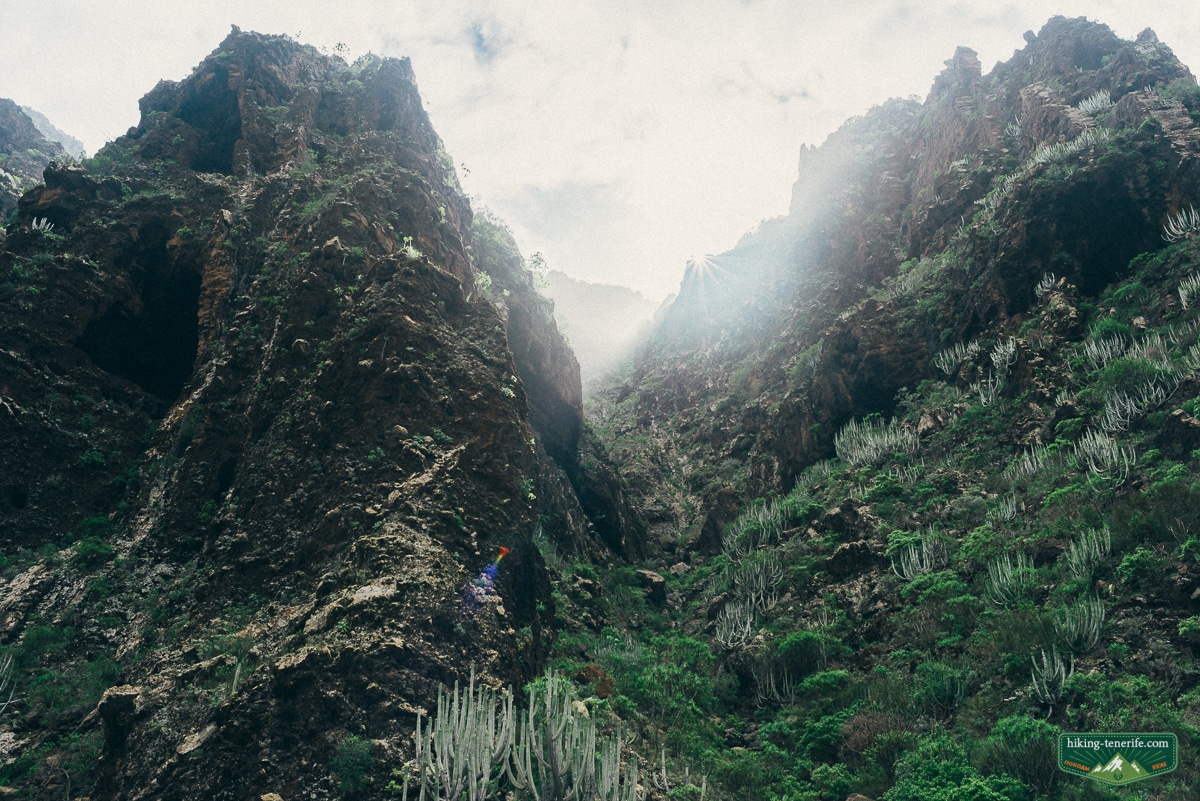 Teno ravines on the road towards Los Gigantes