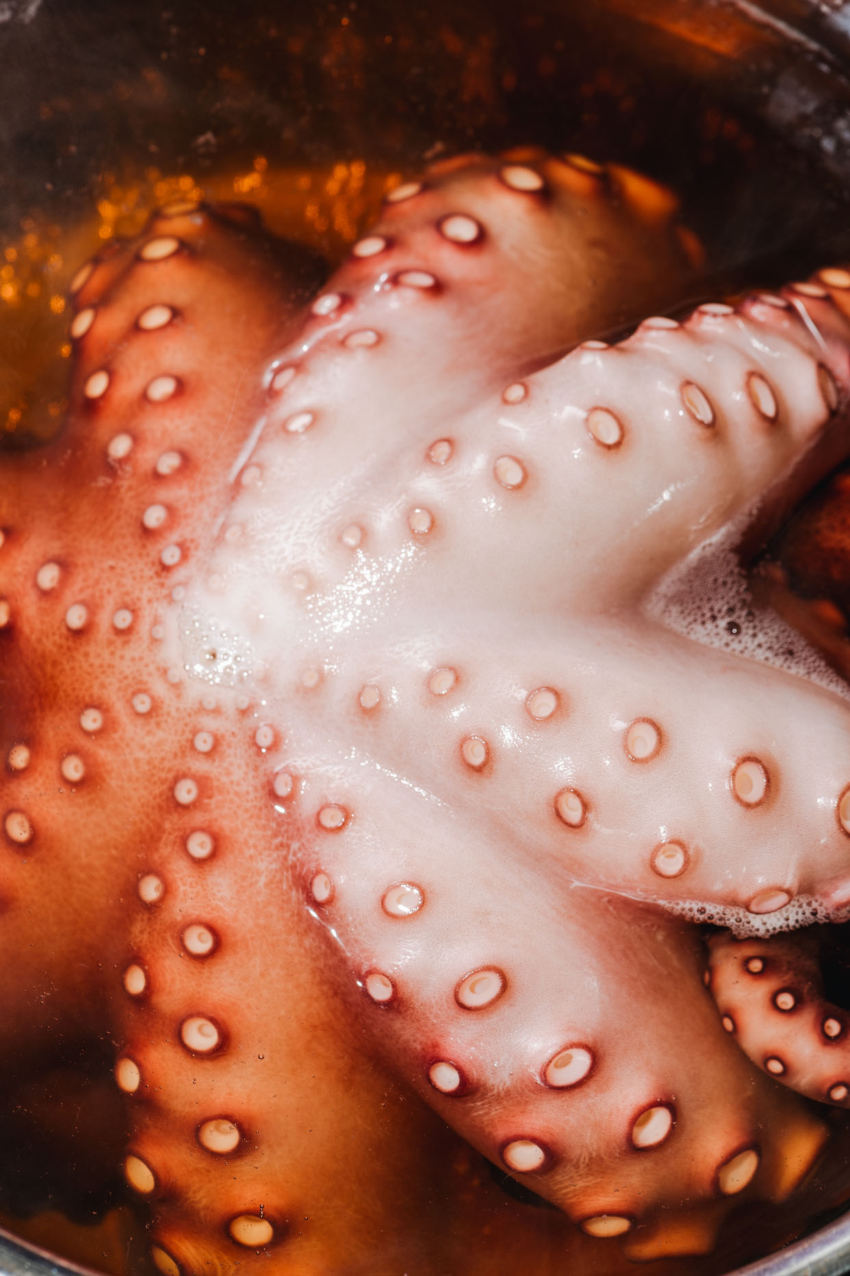 Cleaned whole octopus ready for a Canary Islands grilled octopus recipe