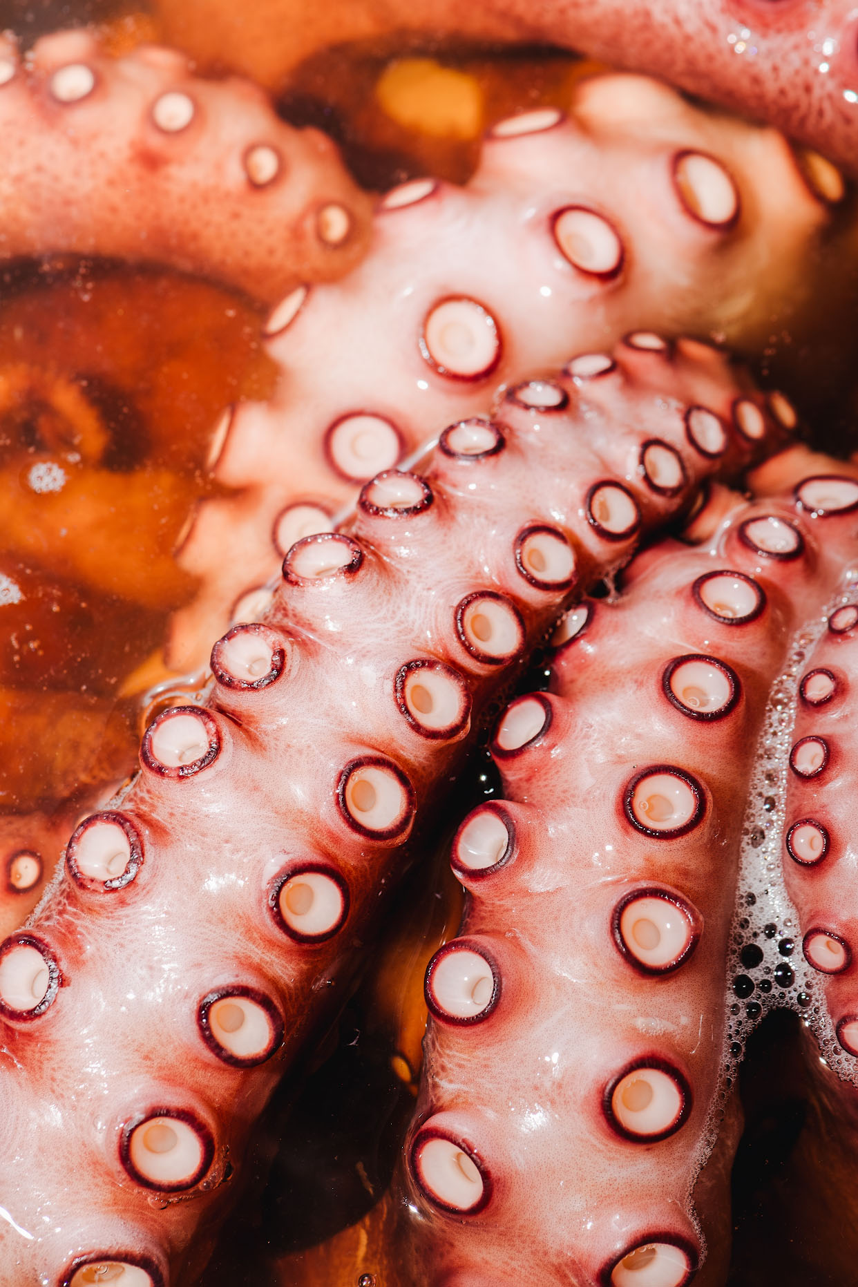 Raw octopus tentacles with visible suckers before cooking