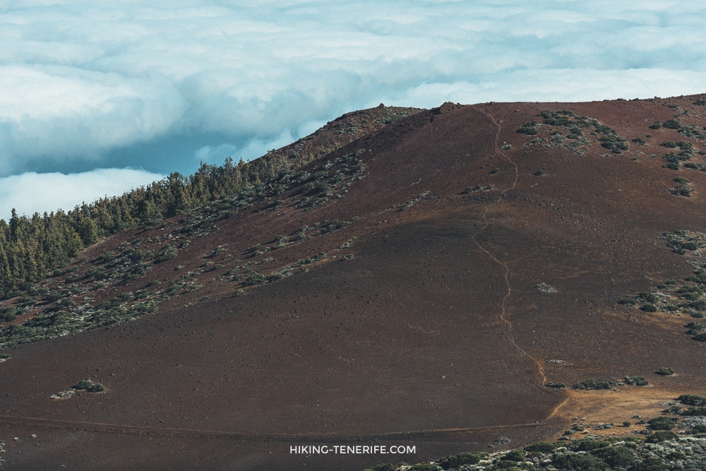 Tenerife driving route for local car hire planning