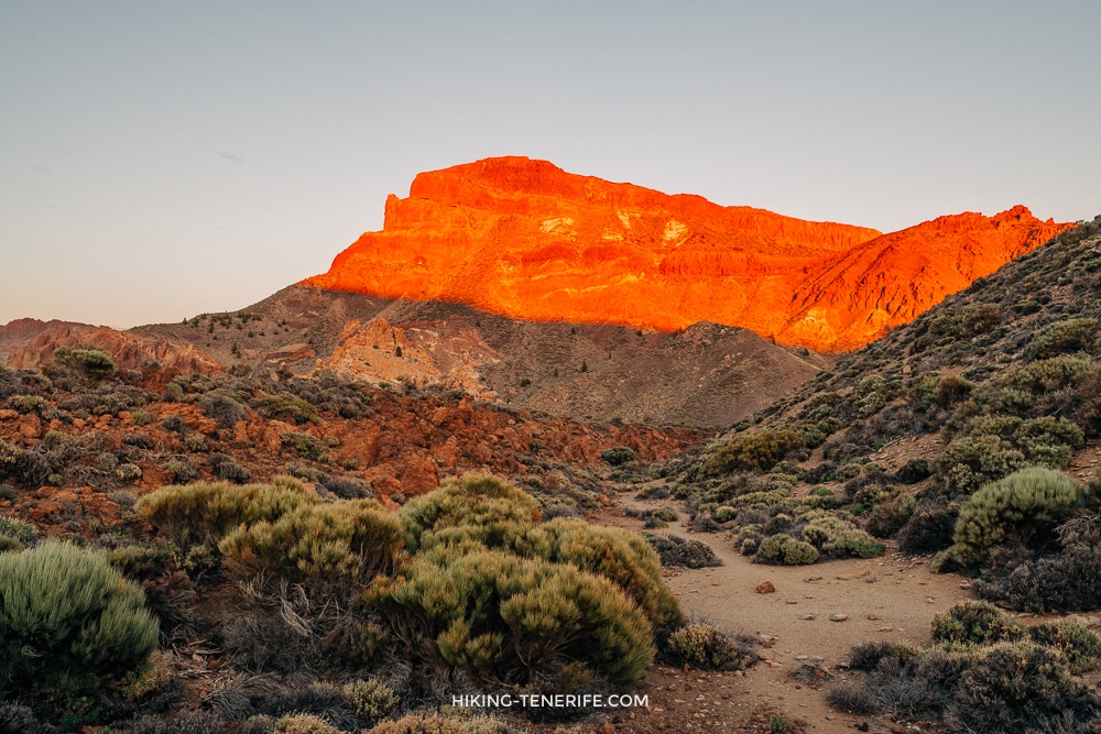 Warm Tenerife sunset after a west coast day
