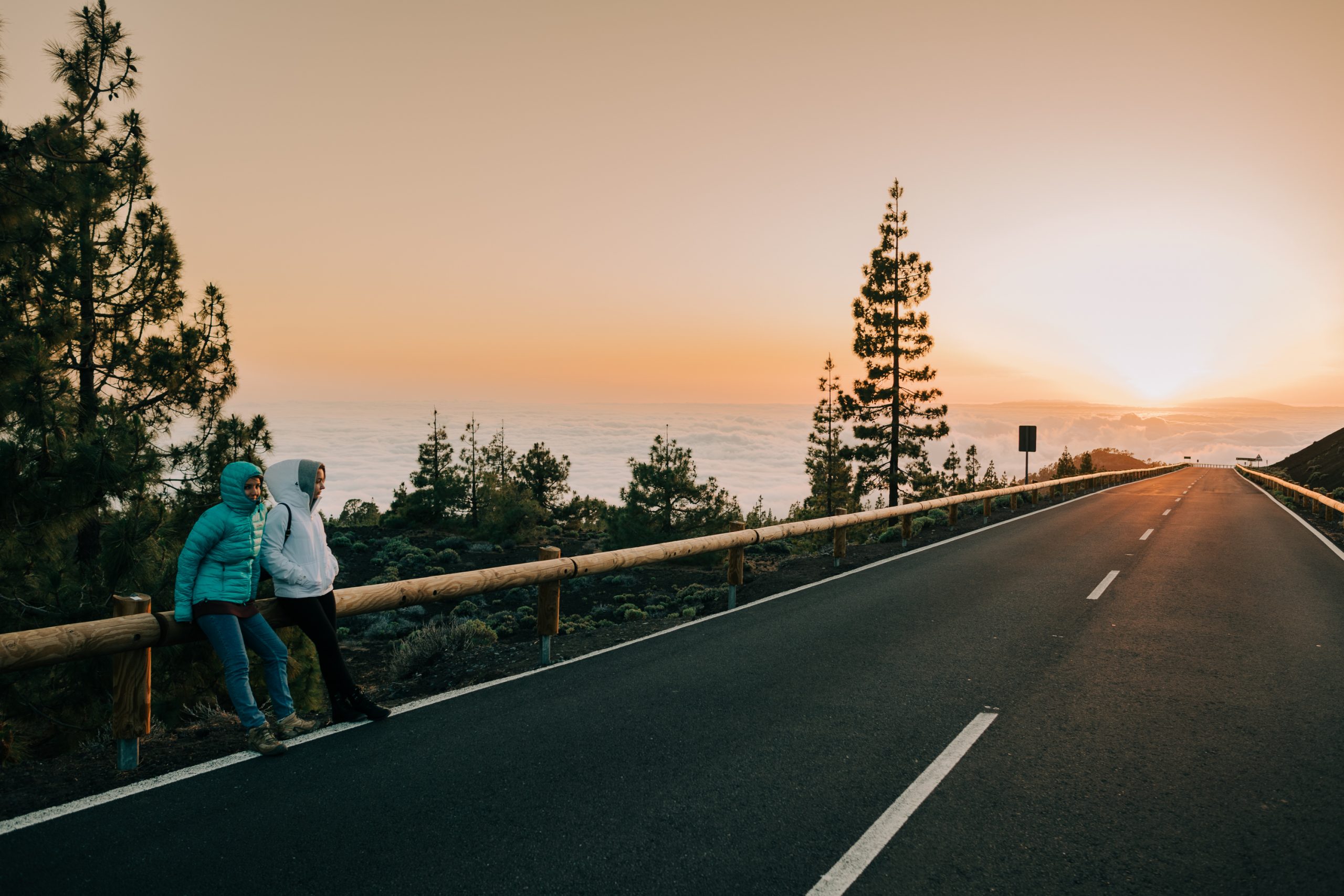 Tenerife road and coast for north or south base choice